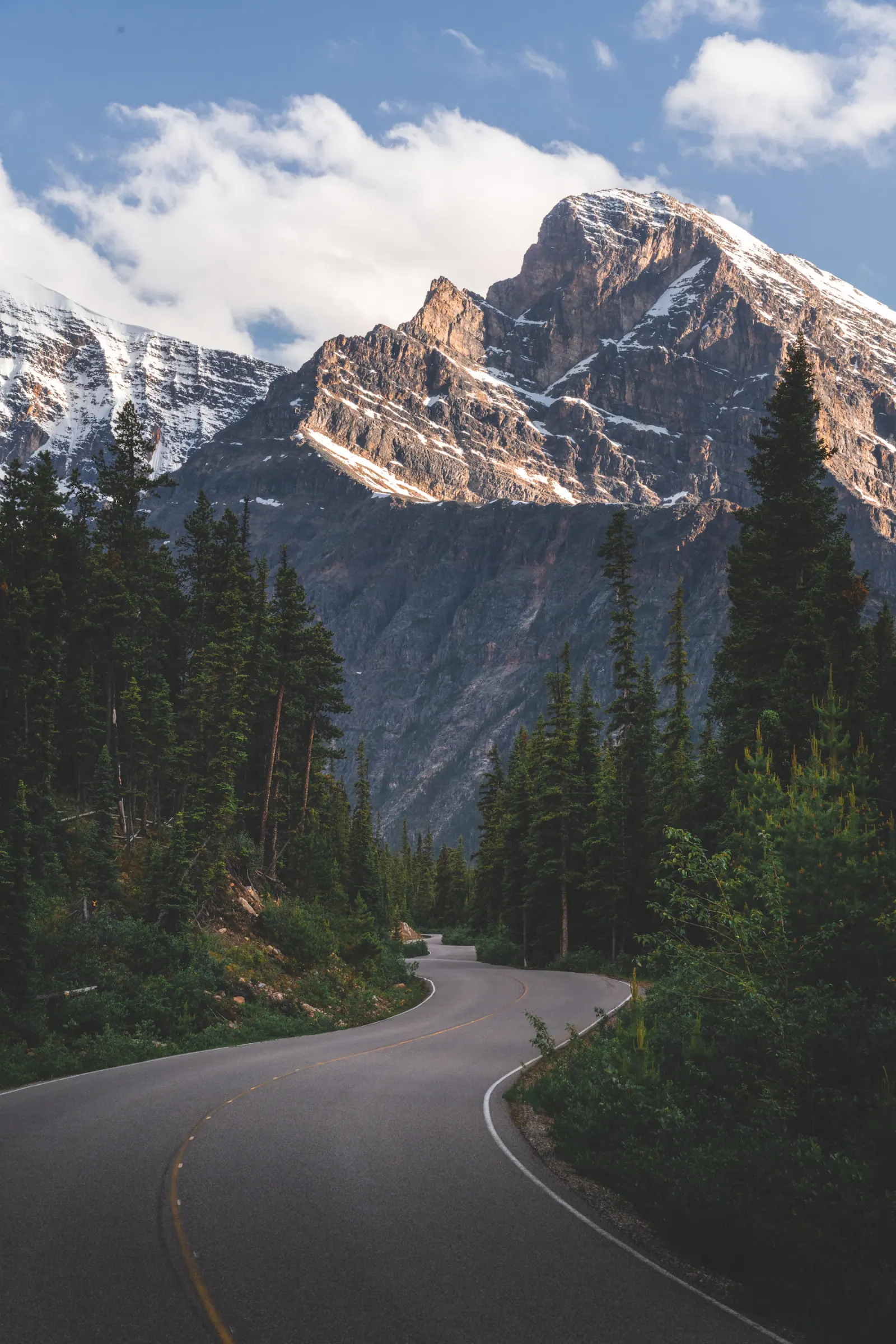 Straße durch den Wald am Cavell Lake in Kanada, Symbolbild für Reisen